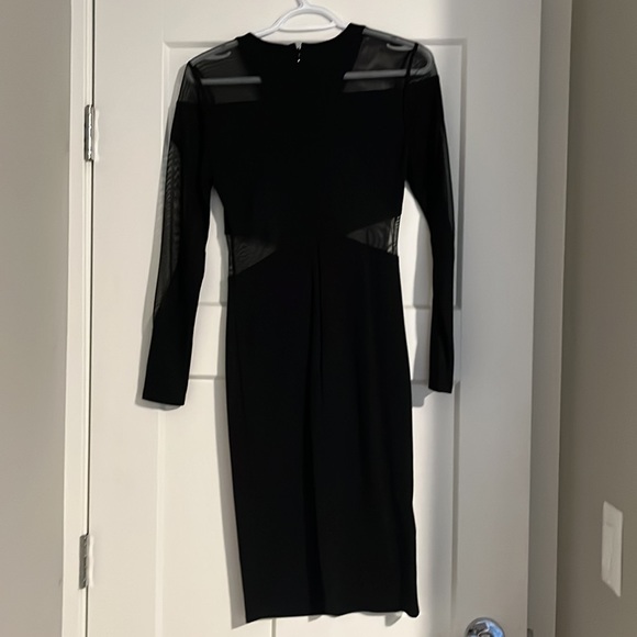 BCBG MaxAzria Mesh Long Sleeve Cut Out Body Con Dress - Picture 2 of 3